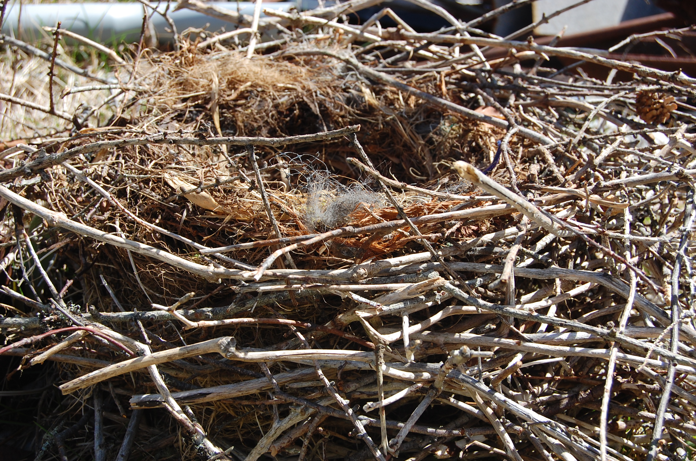 Main Gallery Display