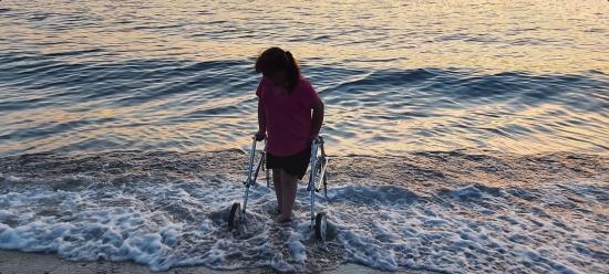 Main Gallery Display