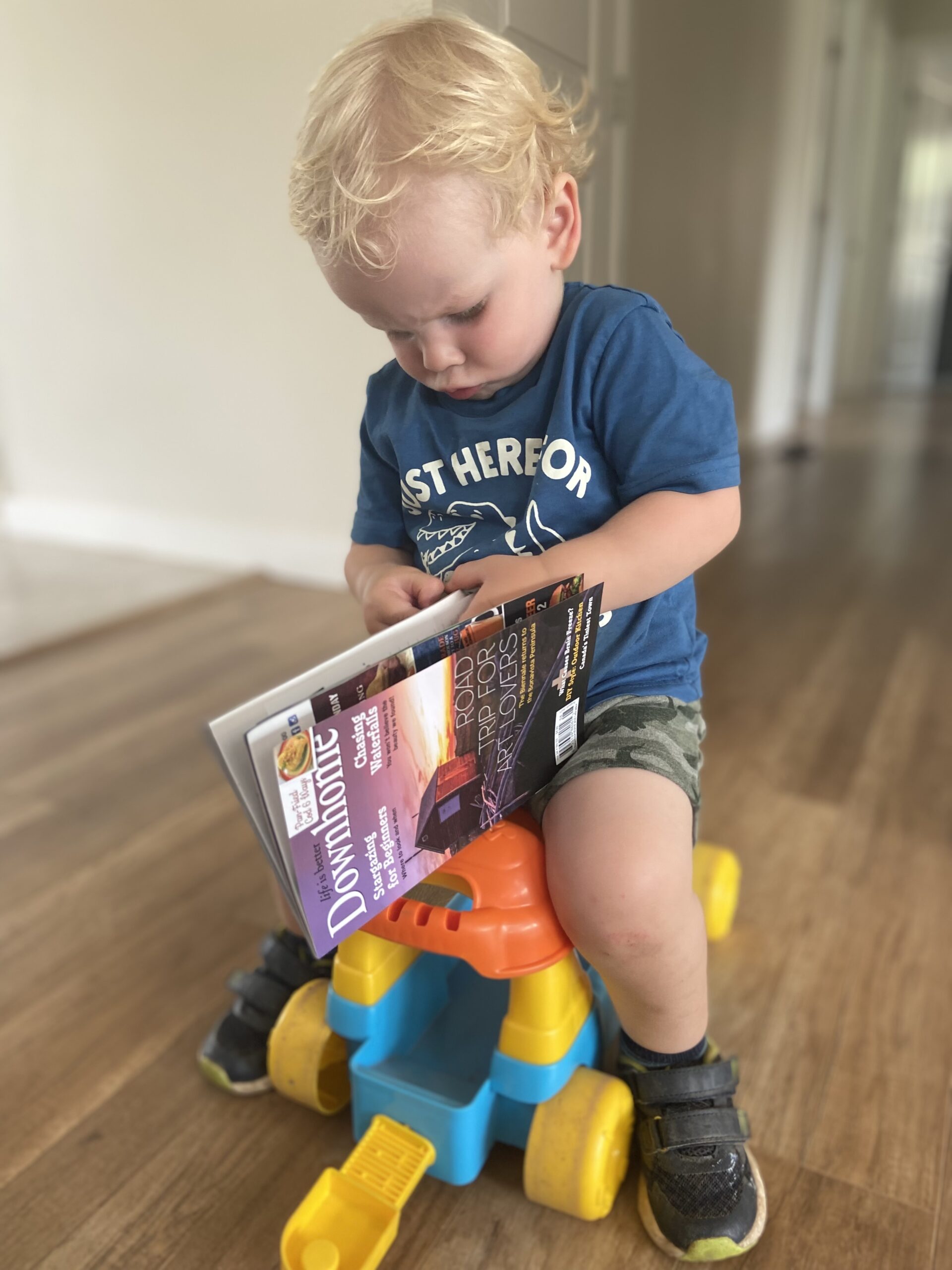 Main Gallery Display