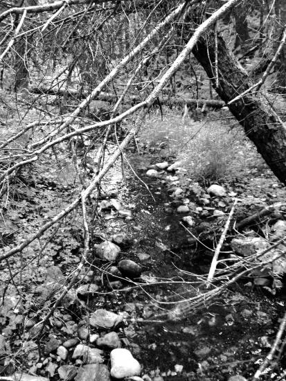 Main Gallery Display