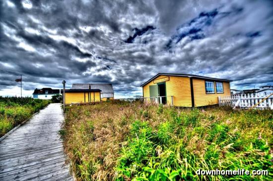 Main Gallery Display