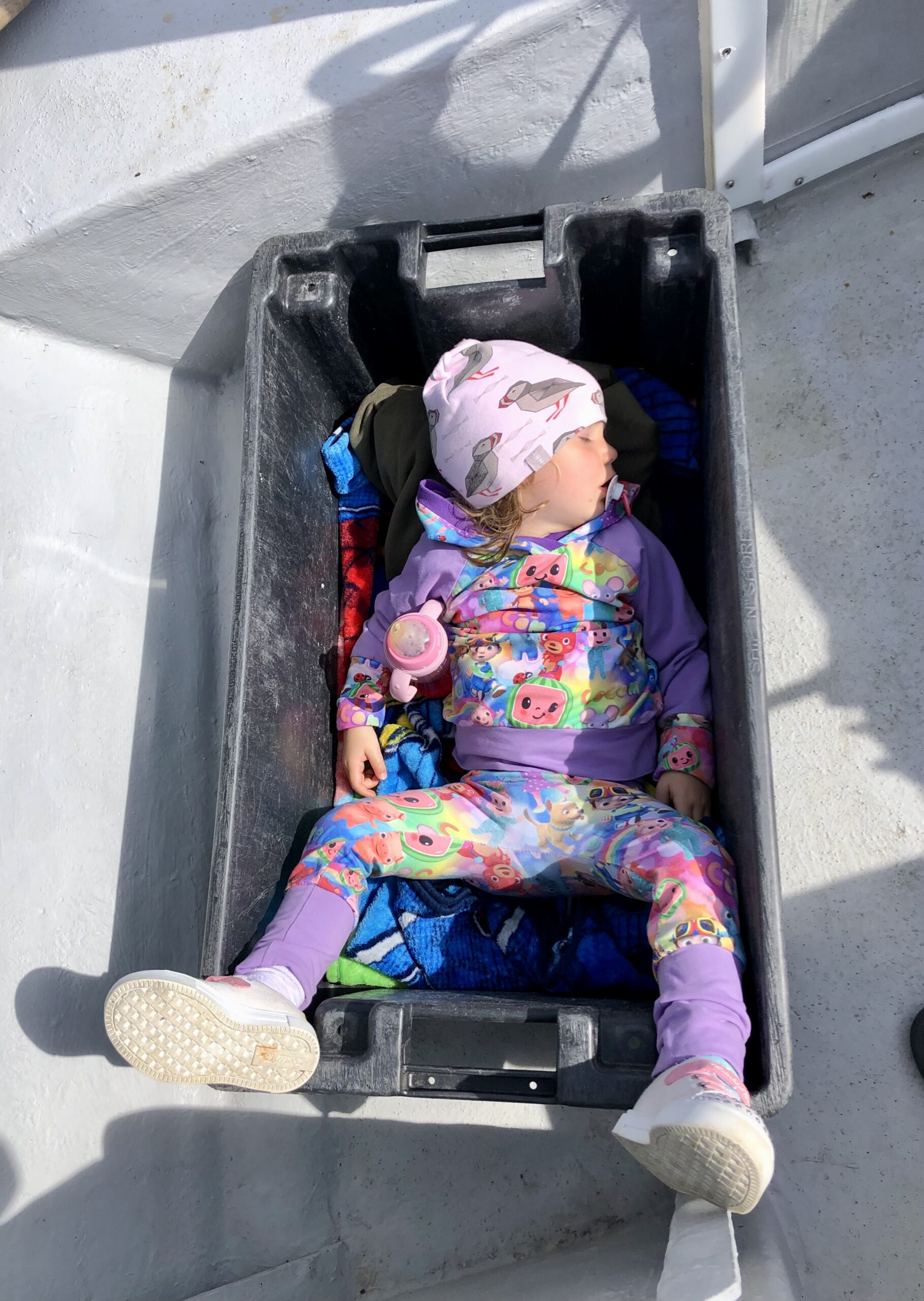 Main Gallery Display