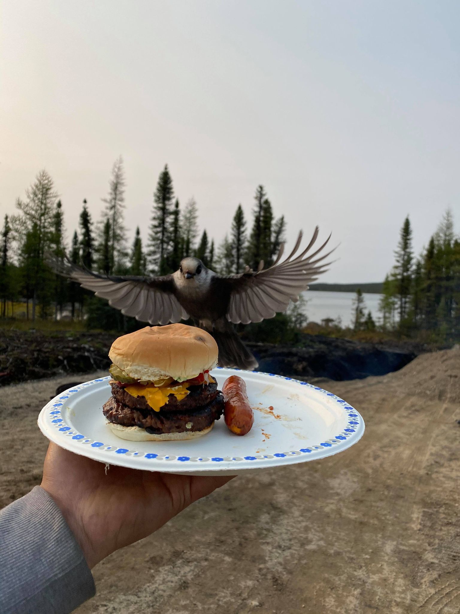 Main Gallery Display