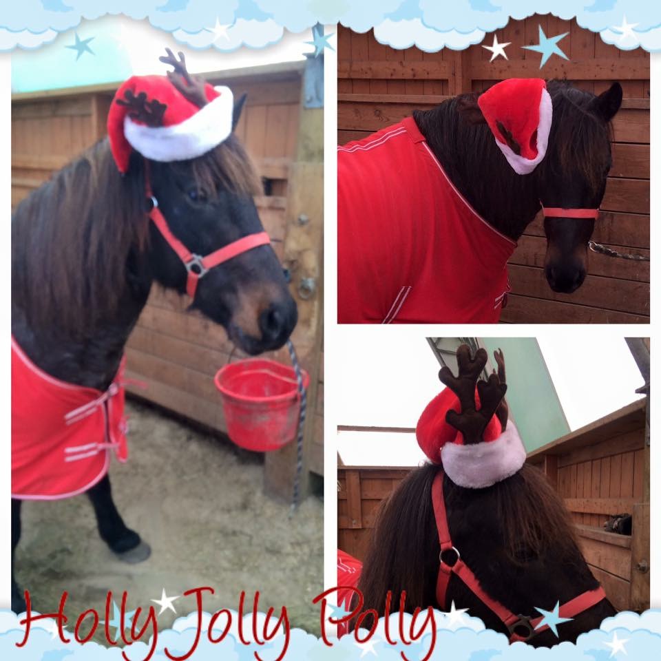 Main Gallery Display