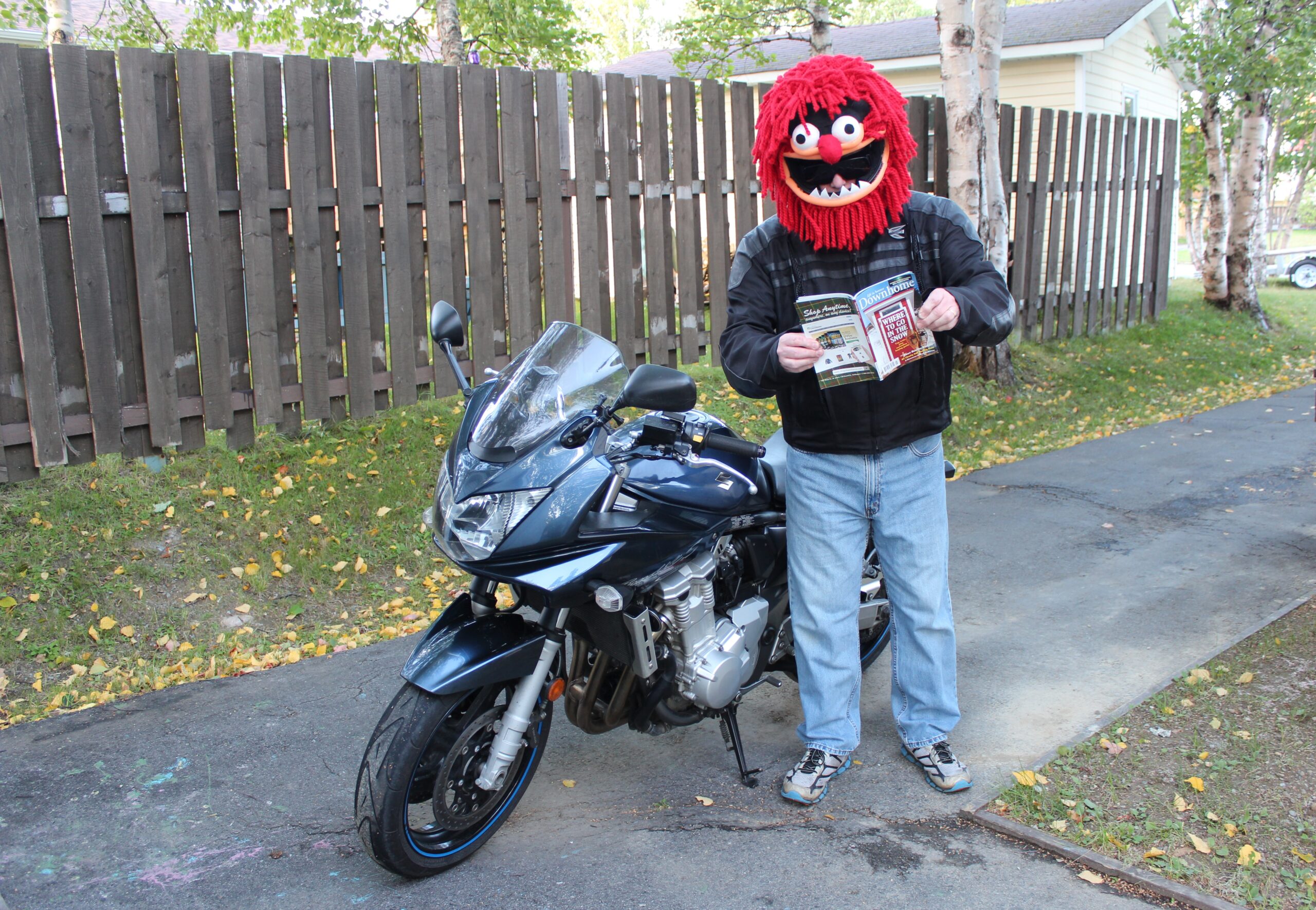 Main Gallery Display