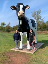 Main Gallery Display