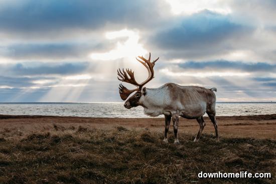 Main Gallery Display