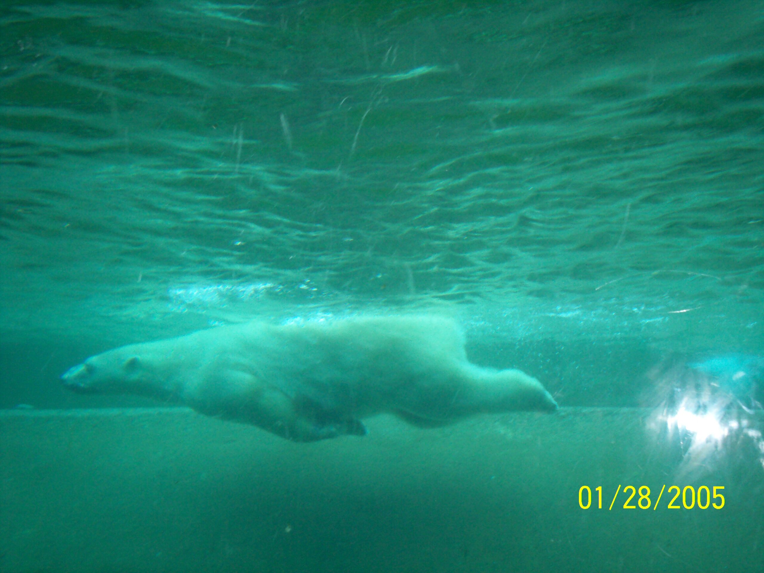 Main Gallery Display