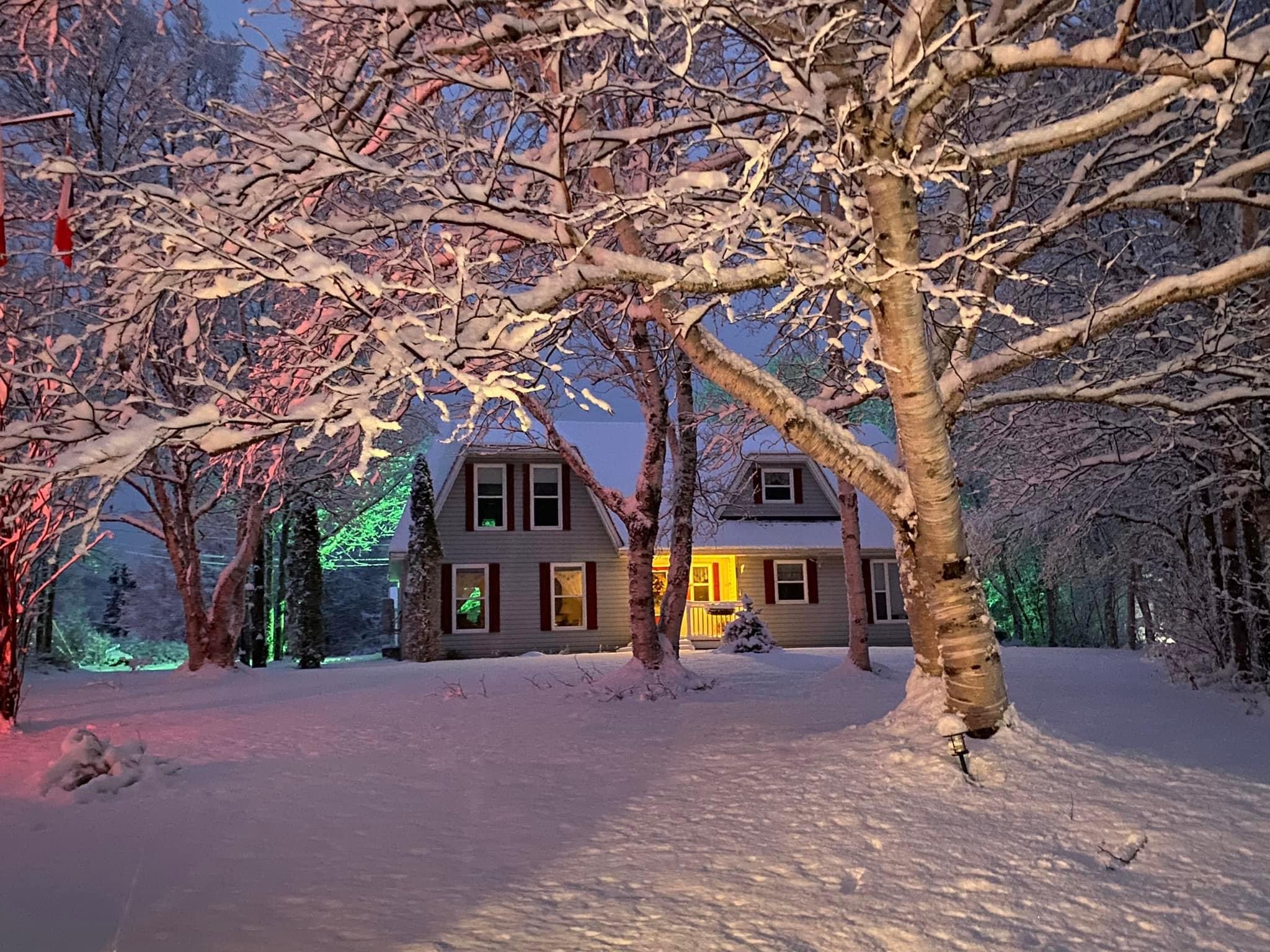 Main Gallery Display