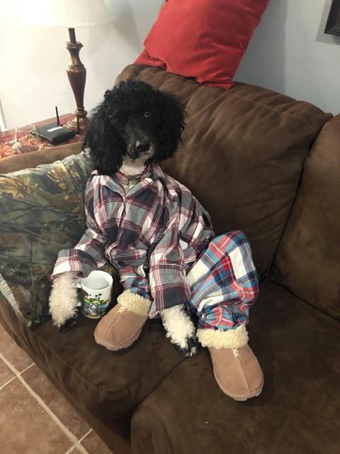 Main Gallery Display