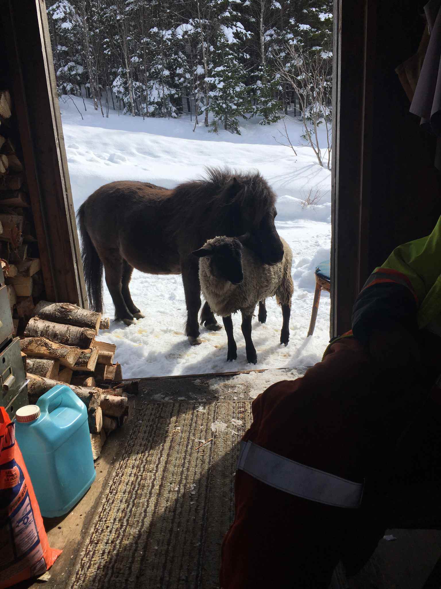 Main Gallery Display