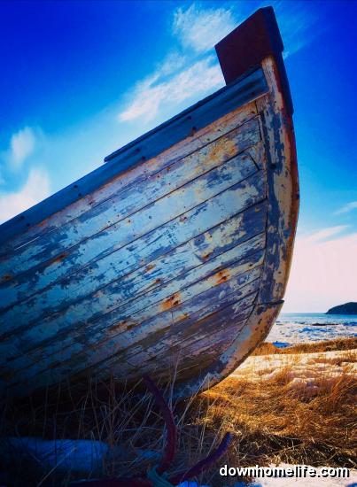 Main Gallery Display