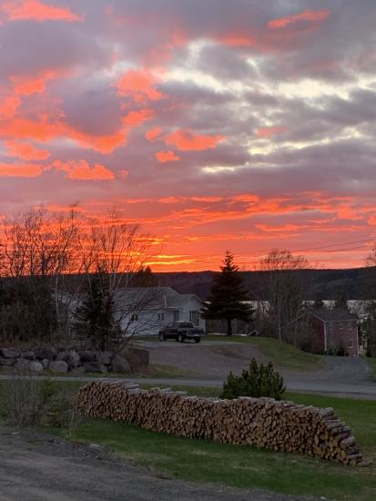 Main Gallery Display