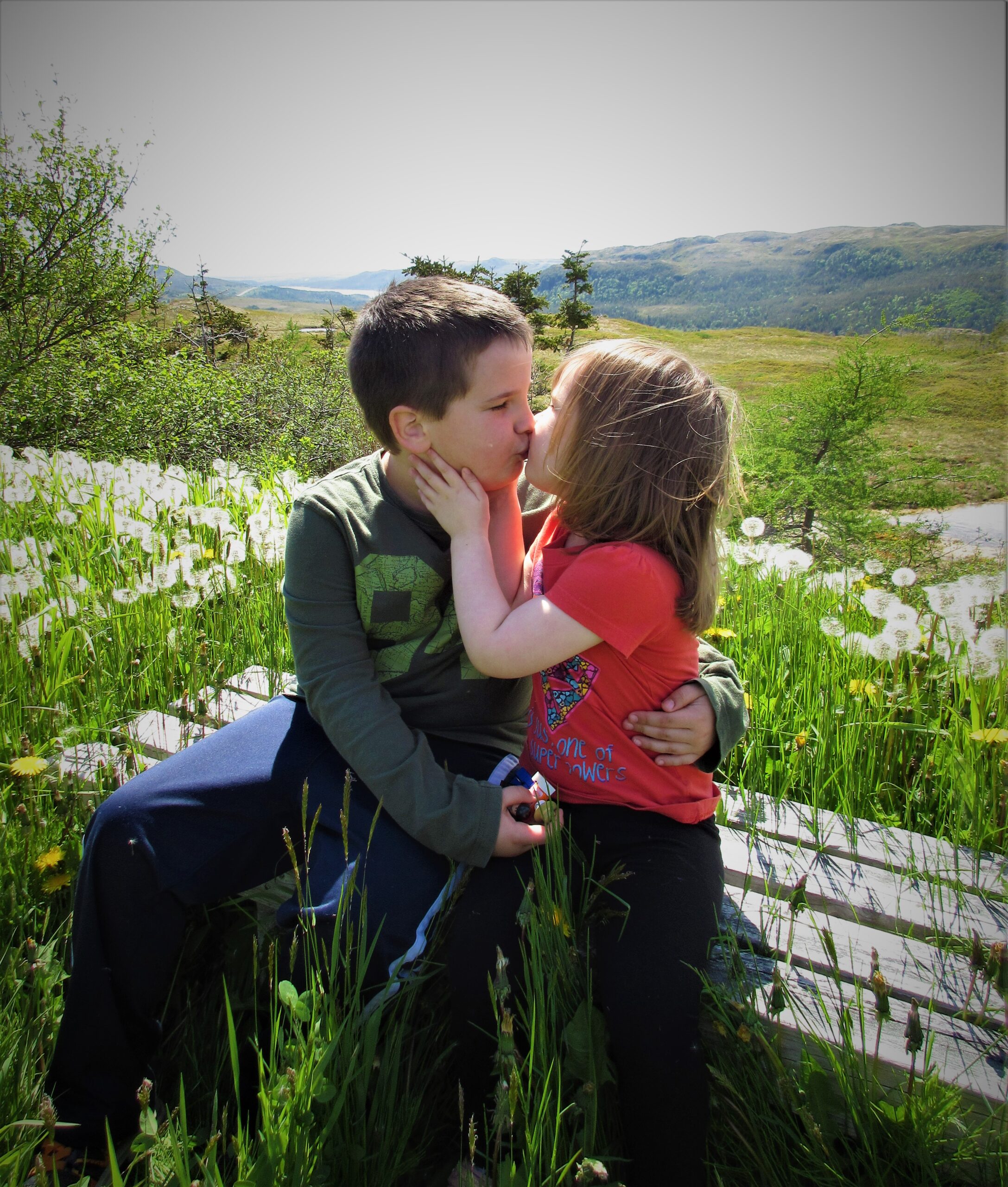 Main Gallery Display