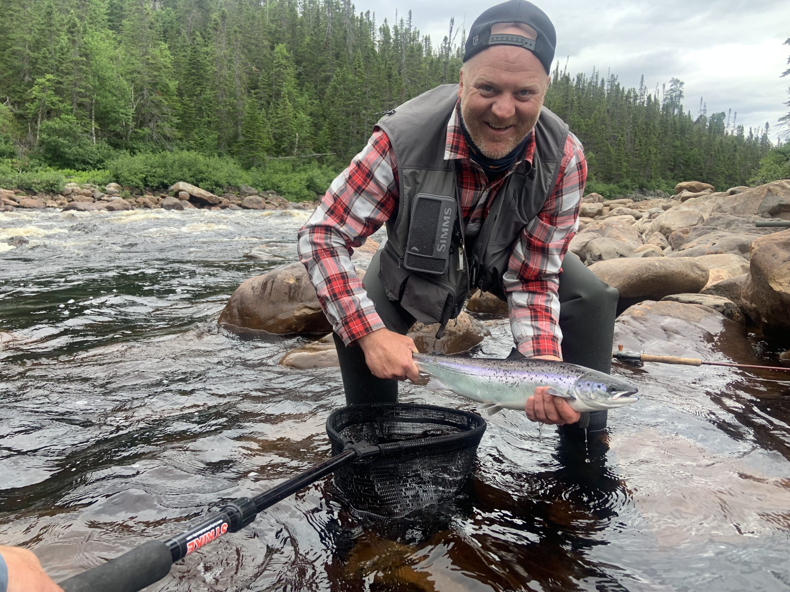 Main Gallery Display