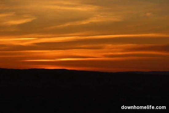 Main Gallery Display