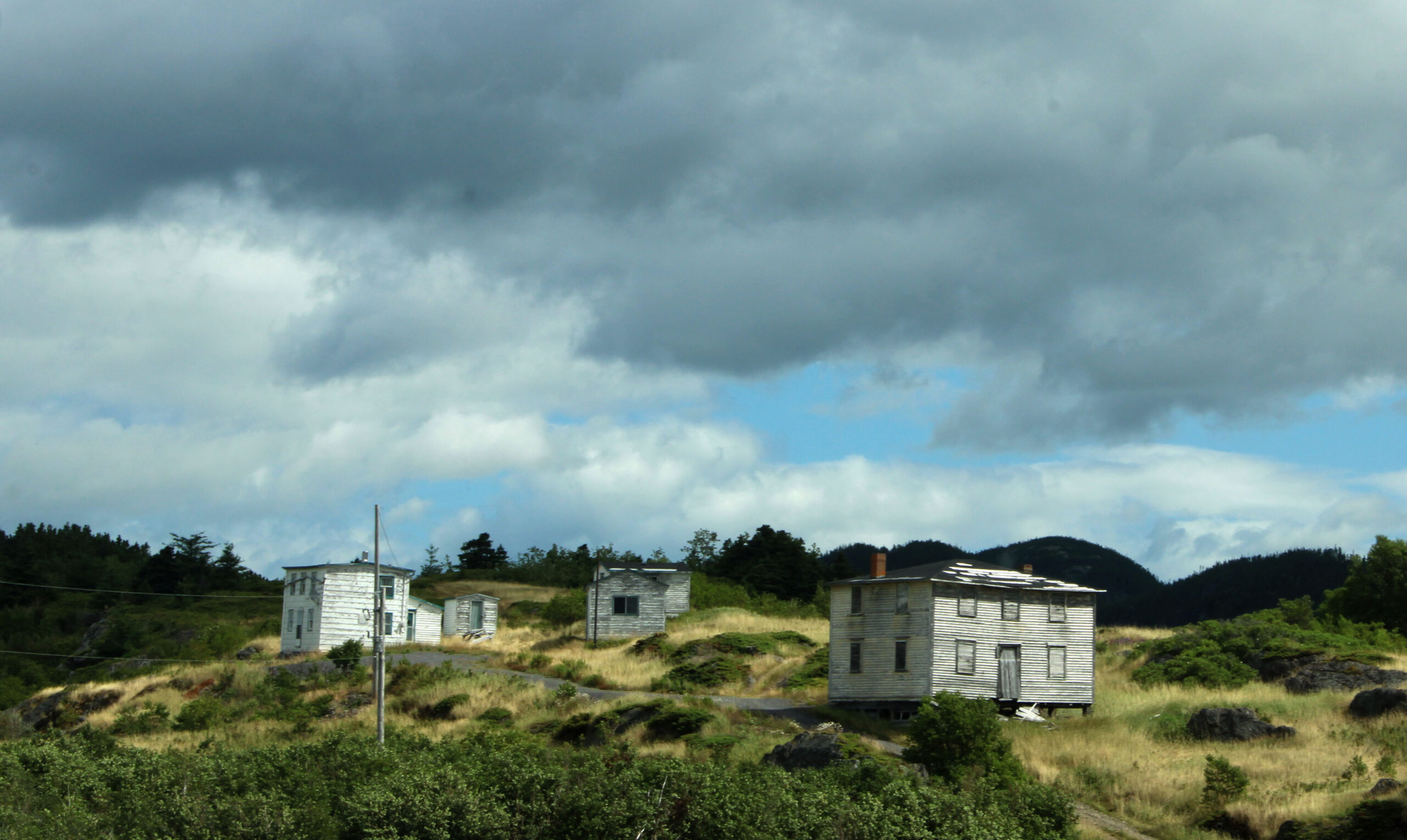 Main Gallery Display