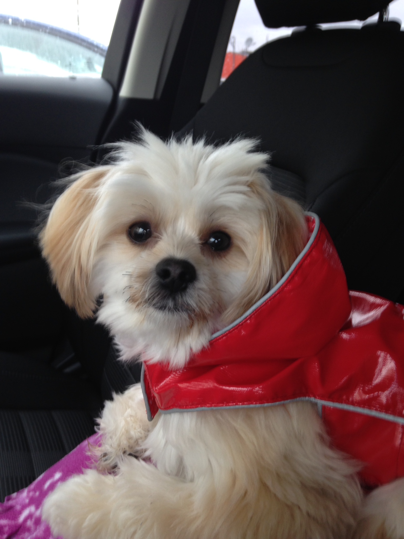 Main Gallery Display