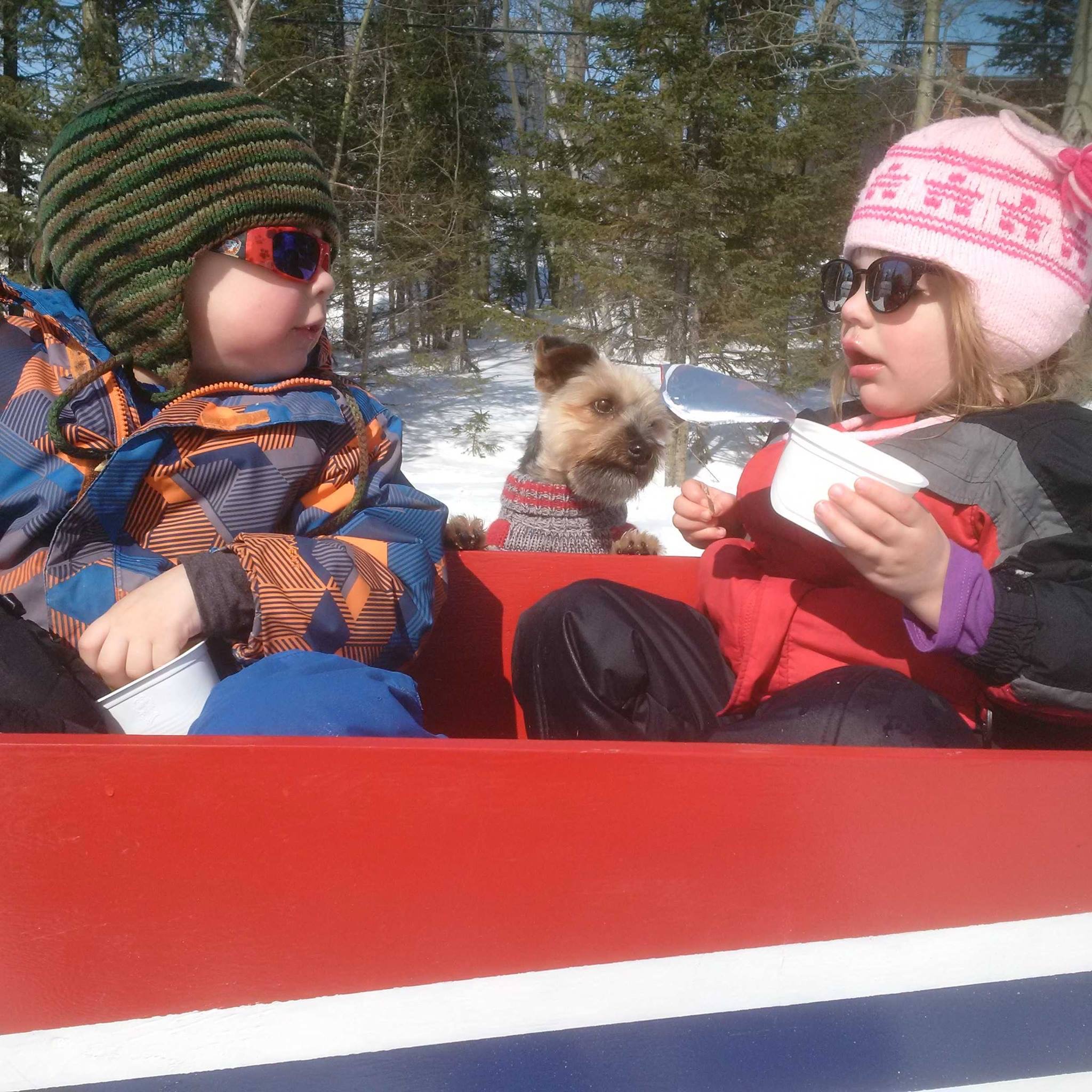 Main Gallery Display