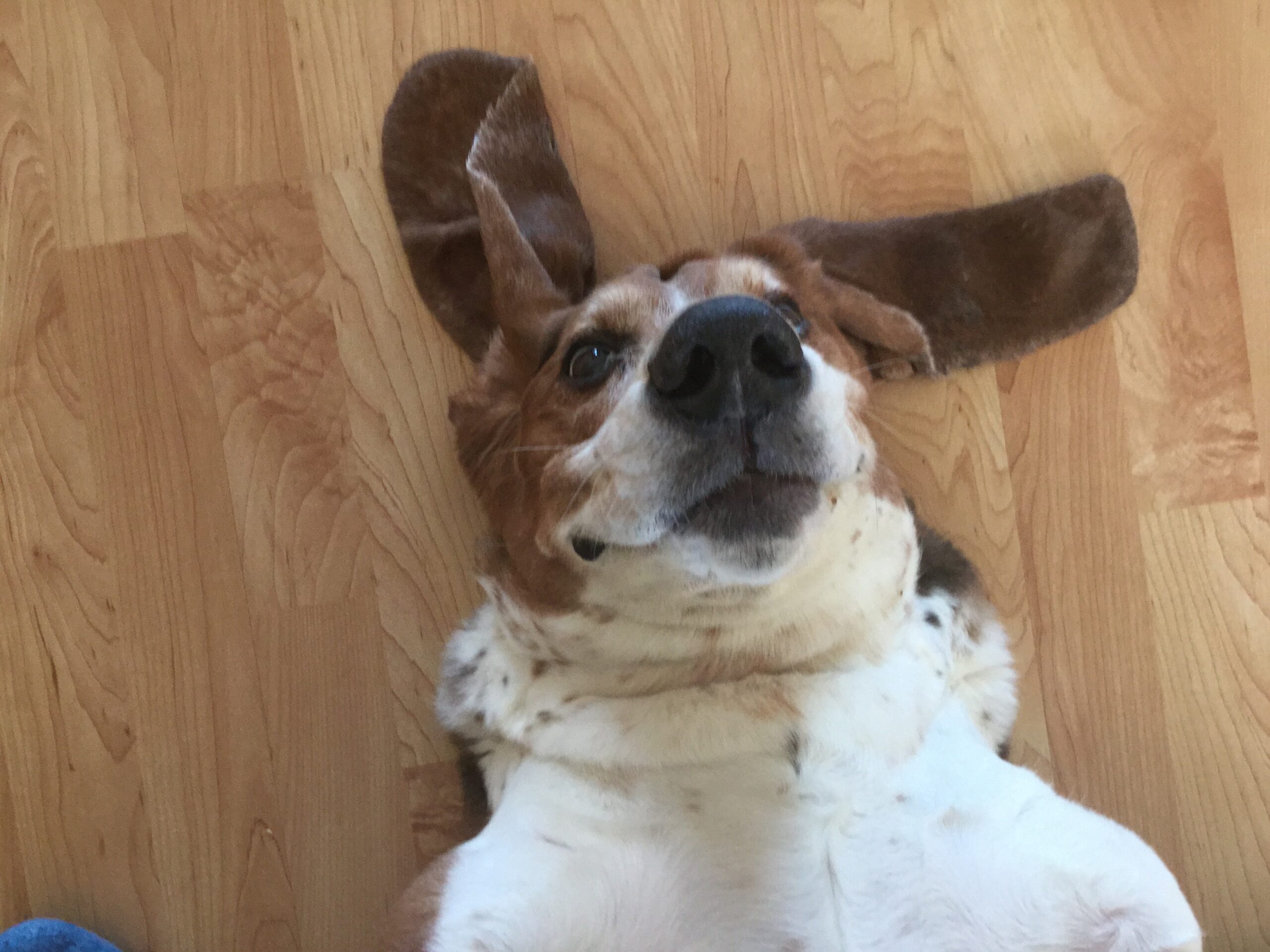 Main Gallery Display