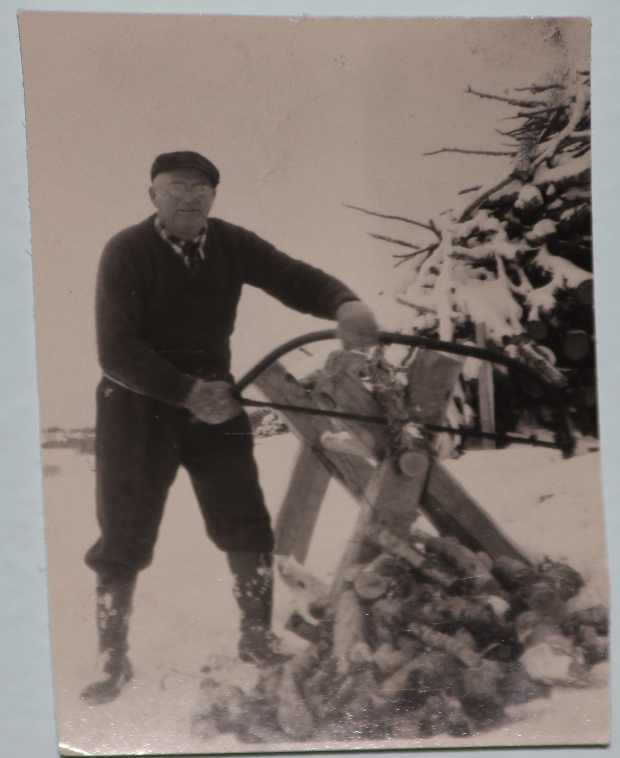 Main Gallery Display