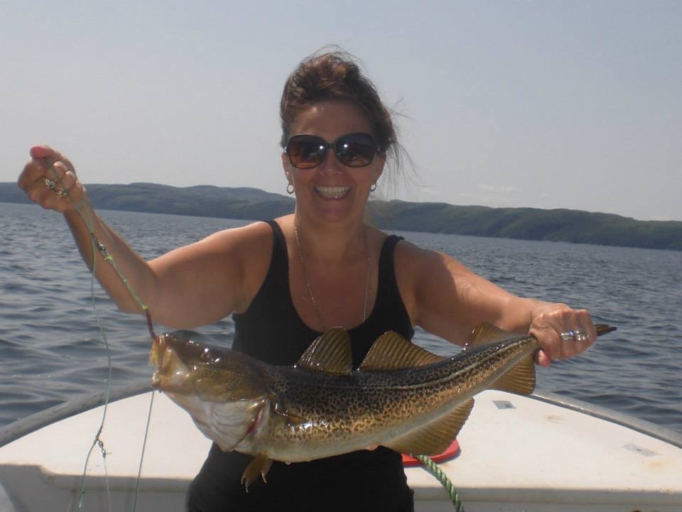 Main Gallery Display