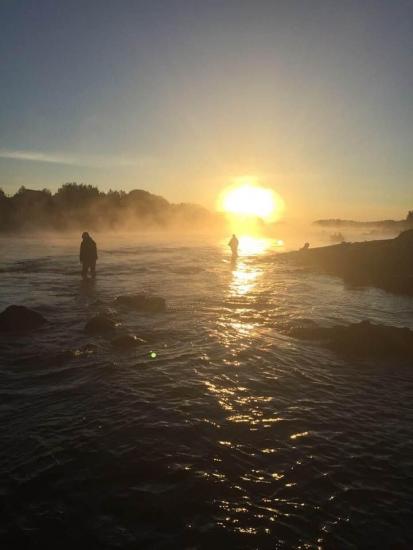 Main Gallery Display