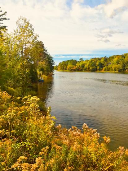 Main Gallery Display