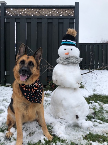 Main Gallery Display