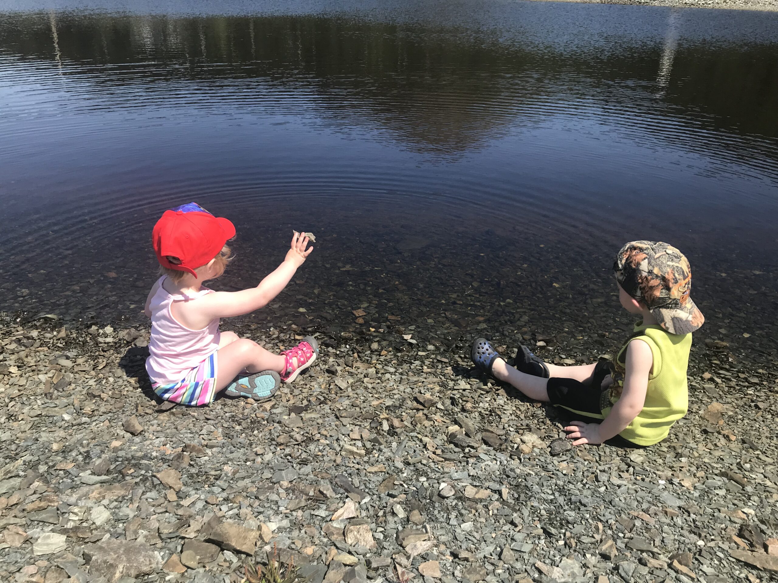 Main Gallery Display