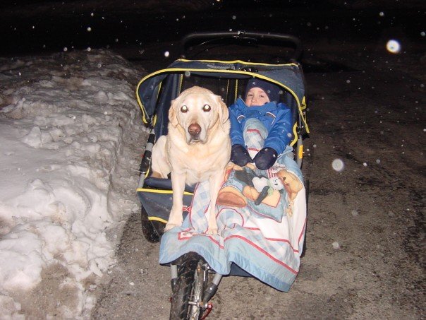 Main Gallery Display