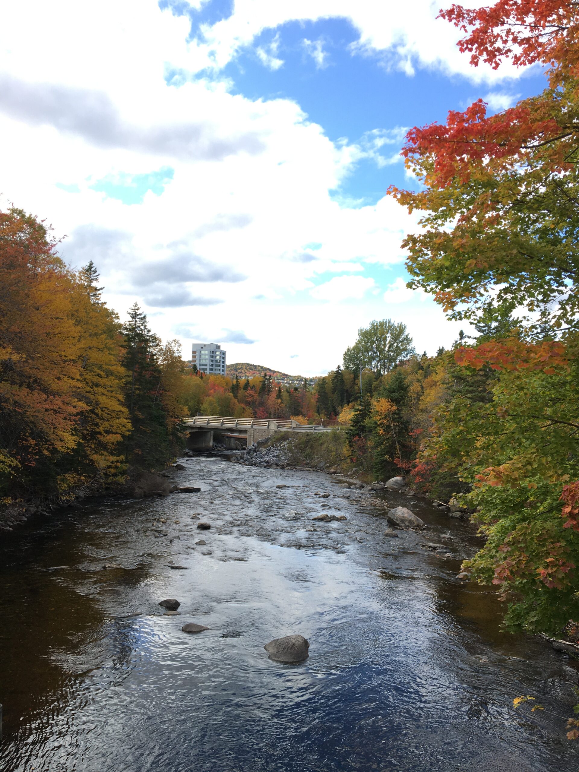 Main Gallery Display