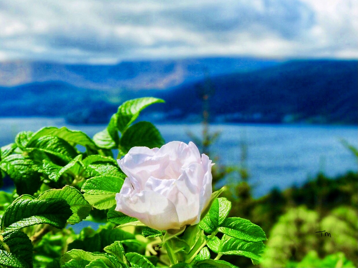 Main Gallery Display