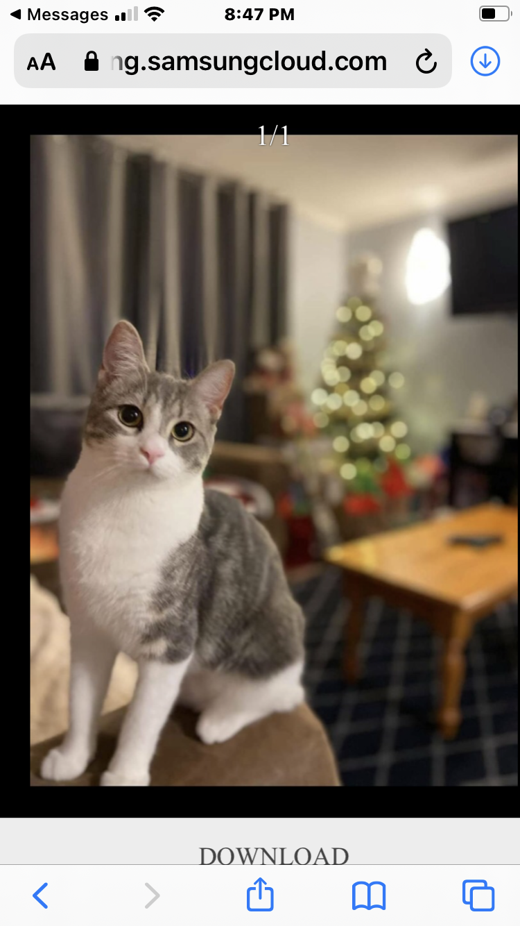 Main Gallery Display