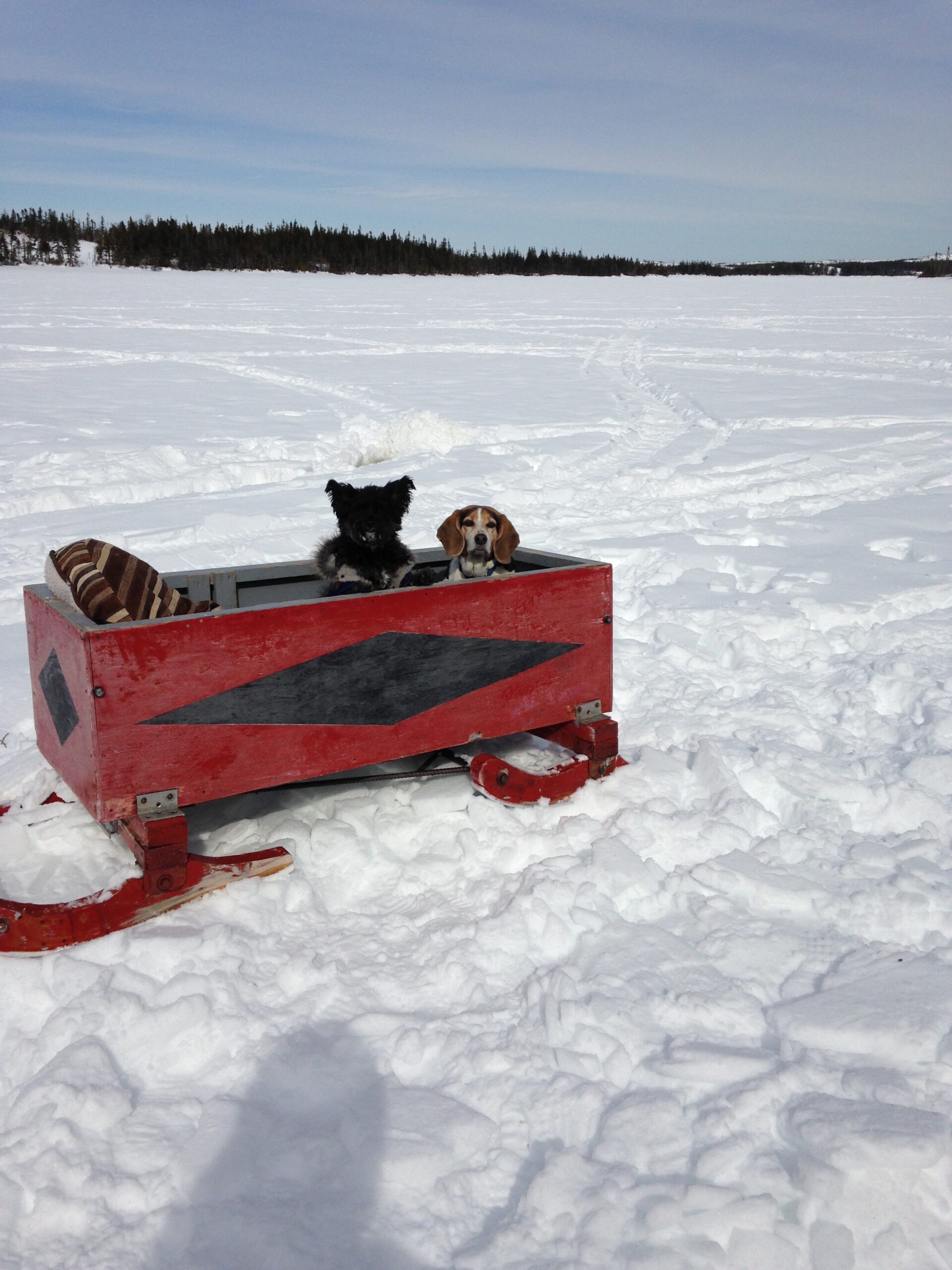 Main Gallery Display