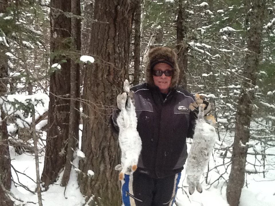 Main Gallery Display