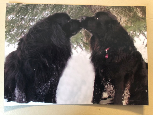 Main Gallery Display