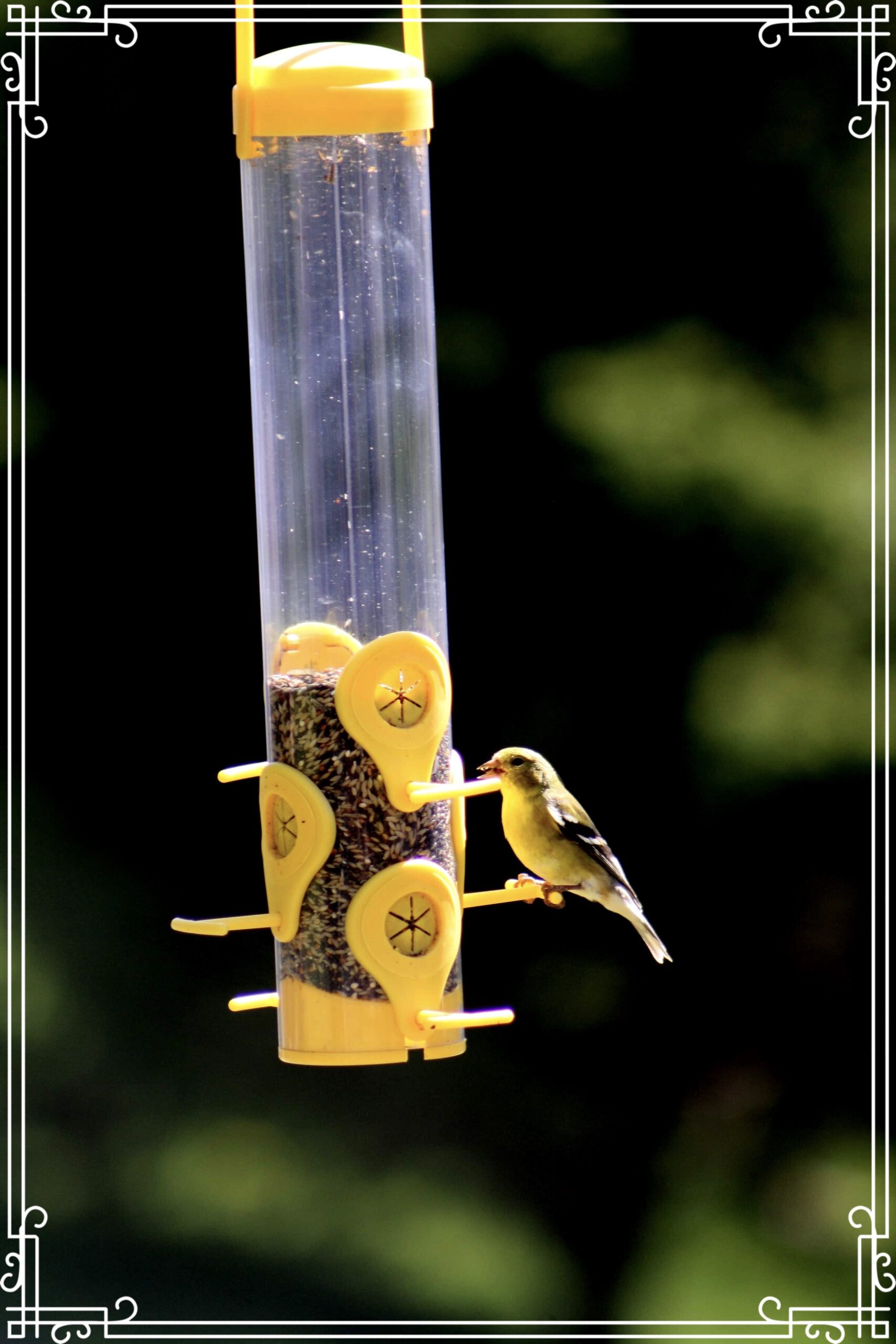 Main Gallery Display