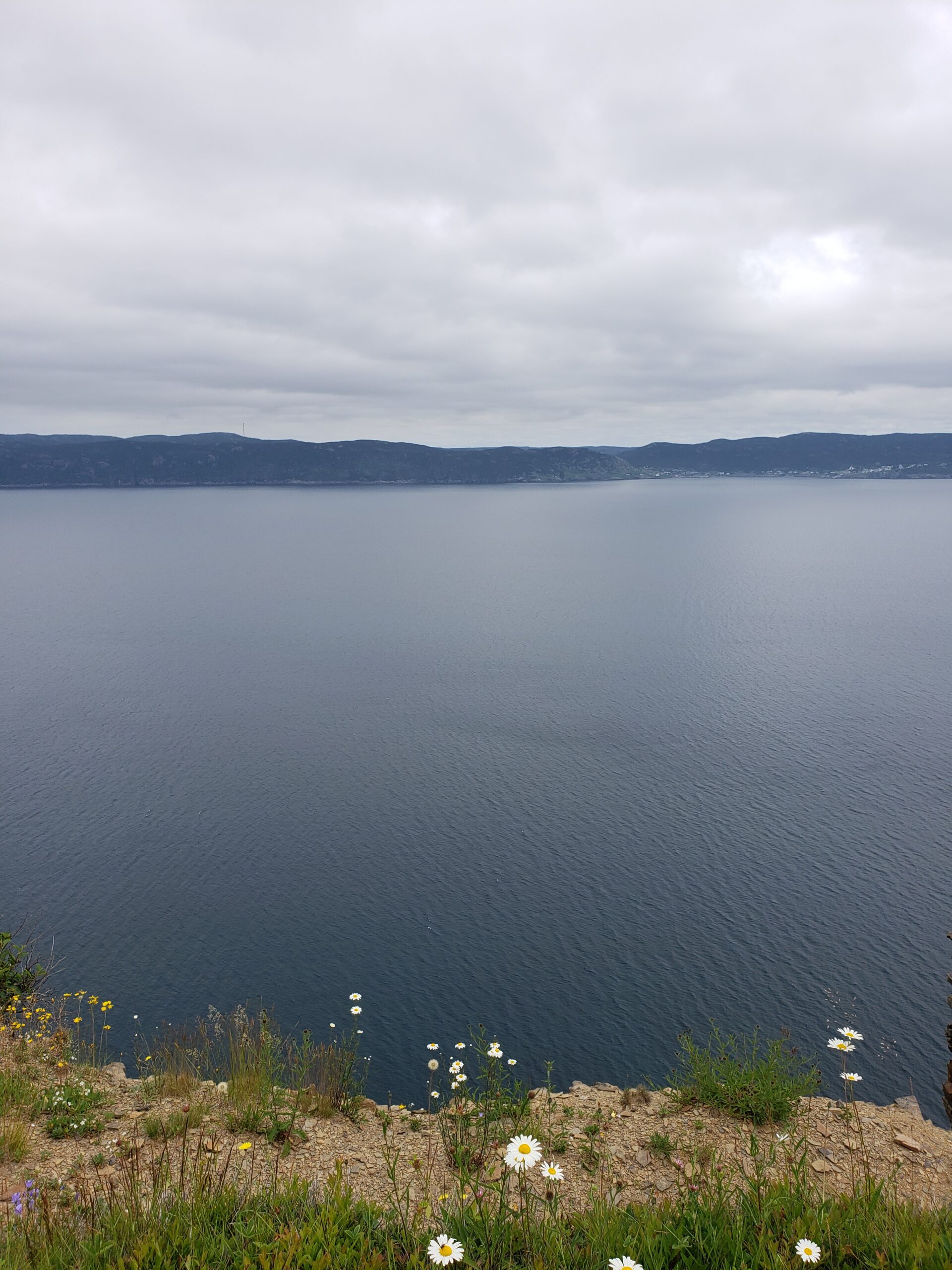 Main Gallery Display