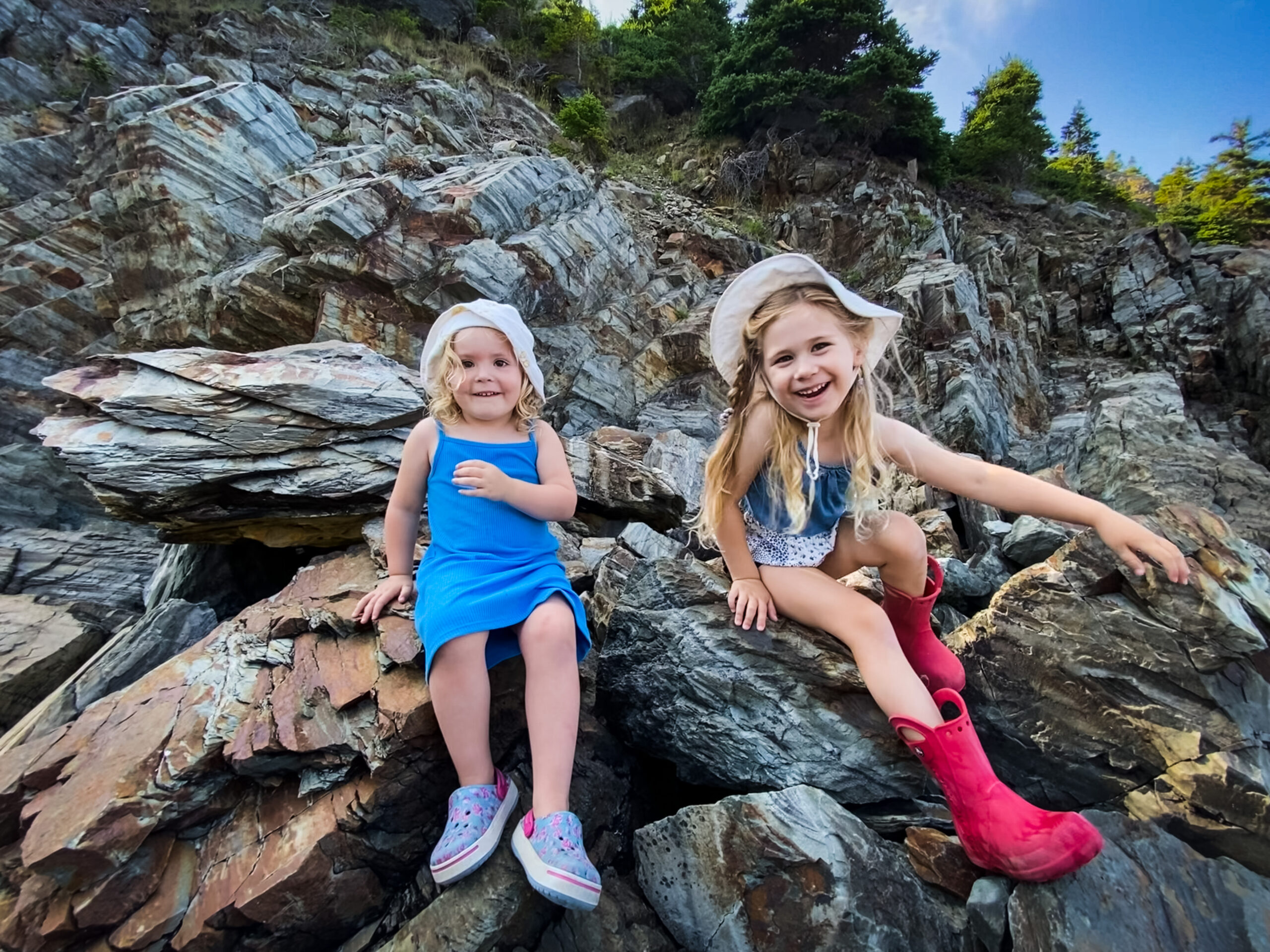 Main Gallery Display