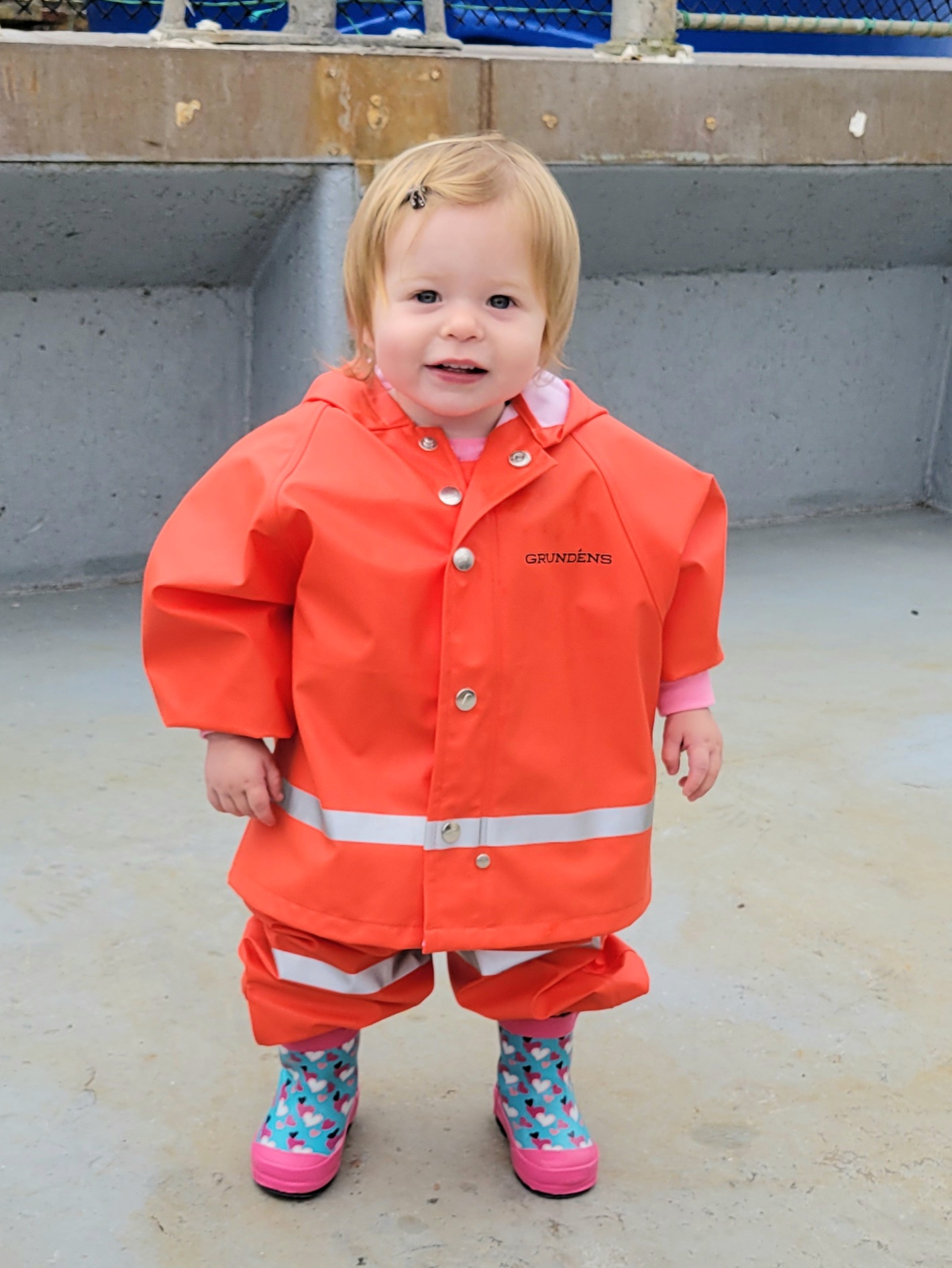 Main Gallery Display