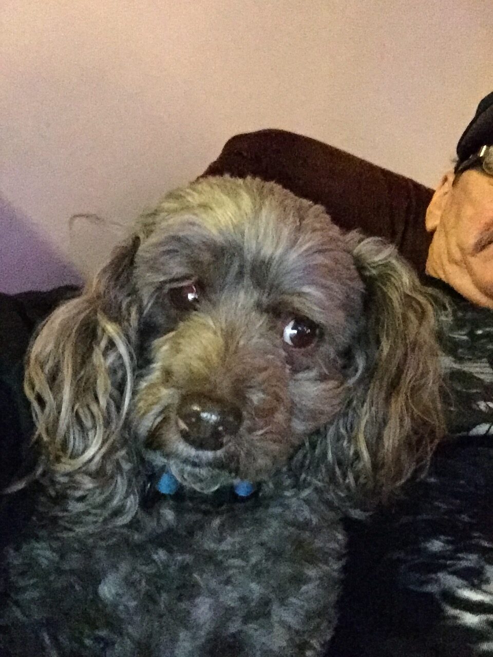 Main Gallery Display