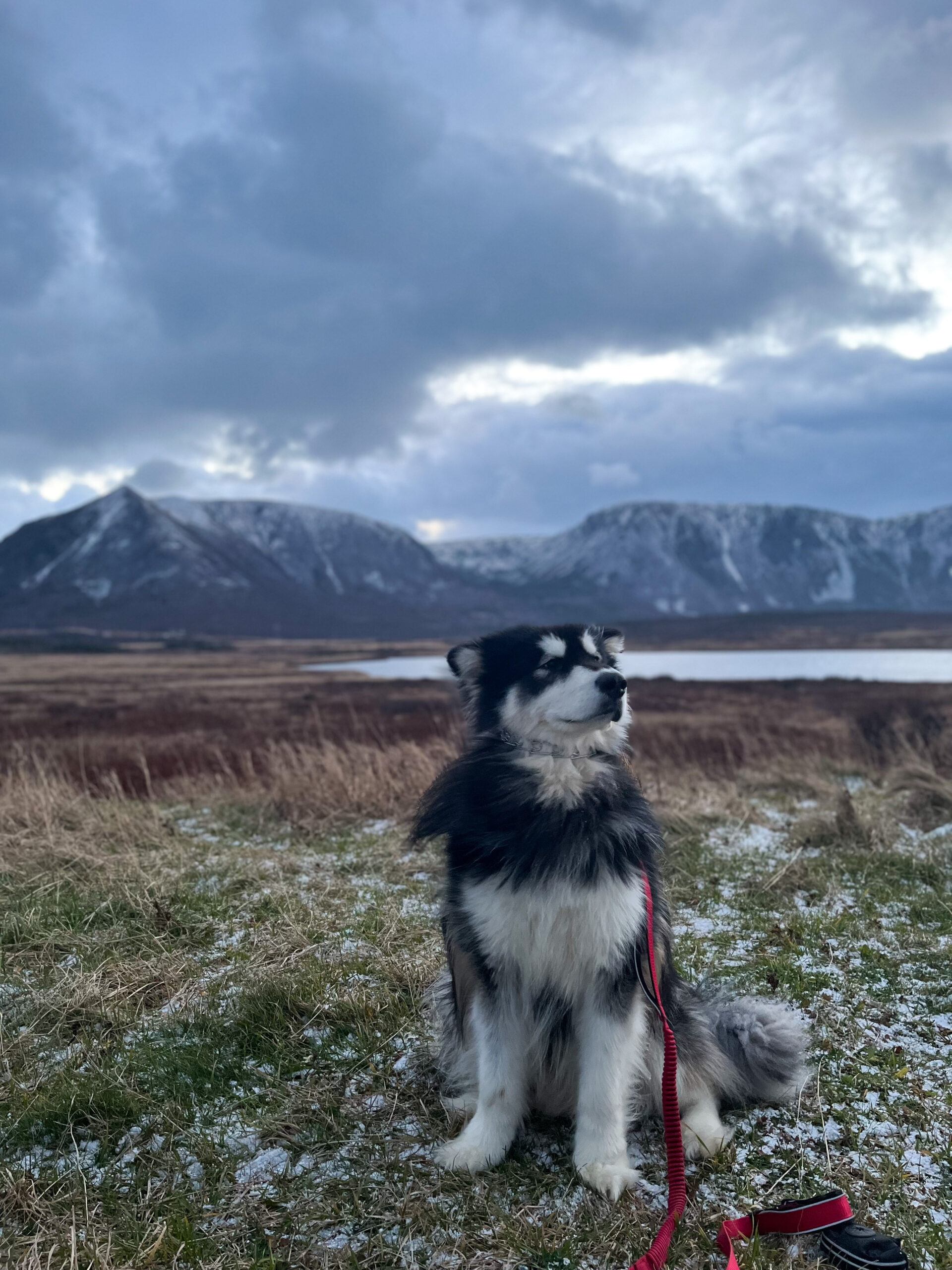 Main Gallery Display
