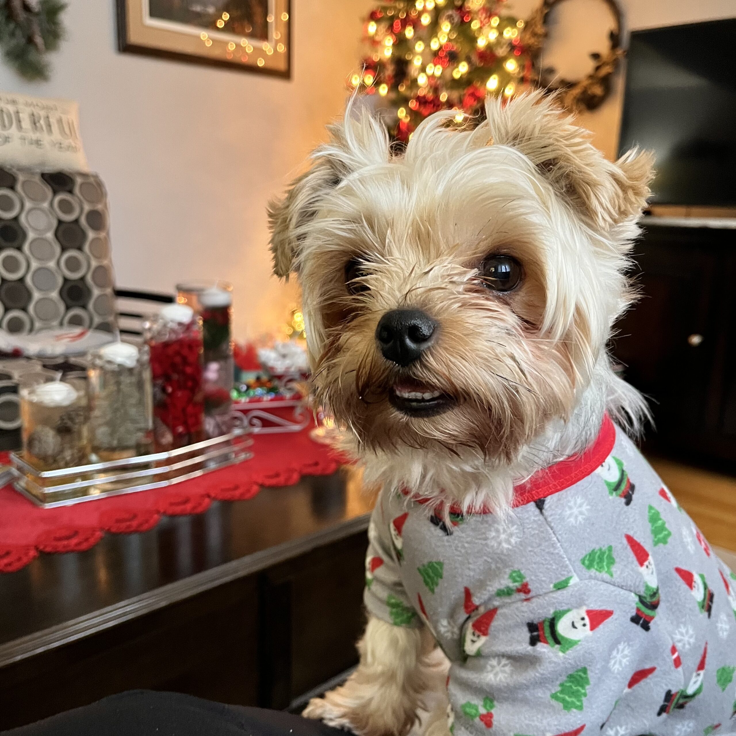 Main Gallery Display