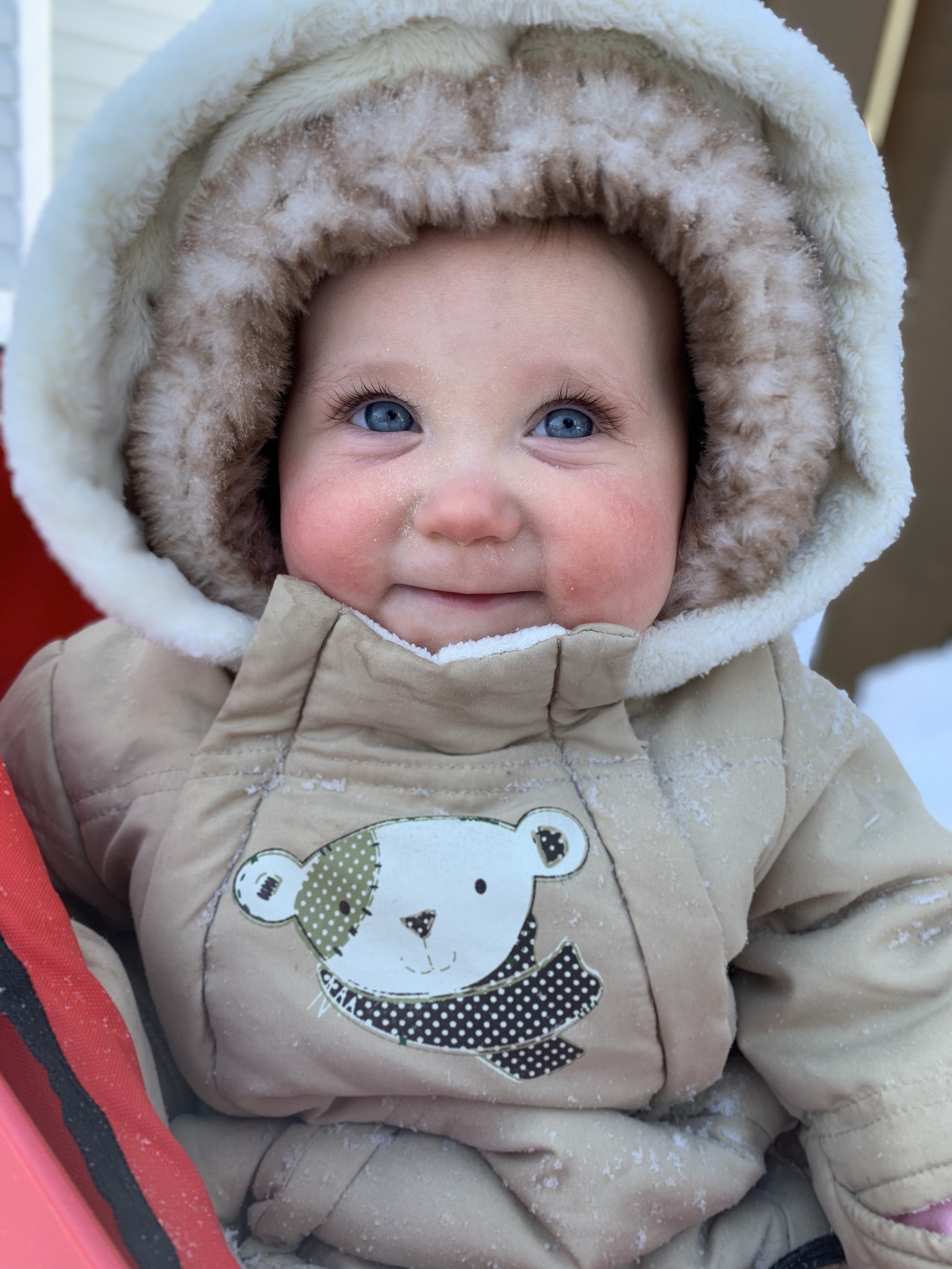 Main Gallery Display