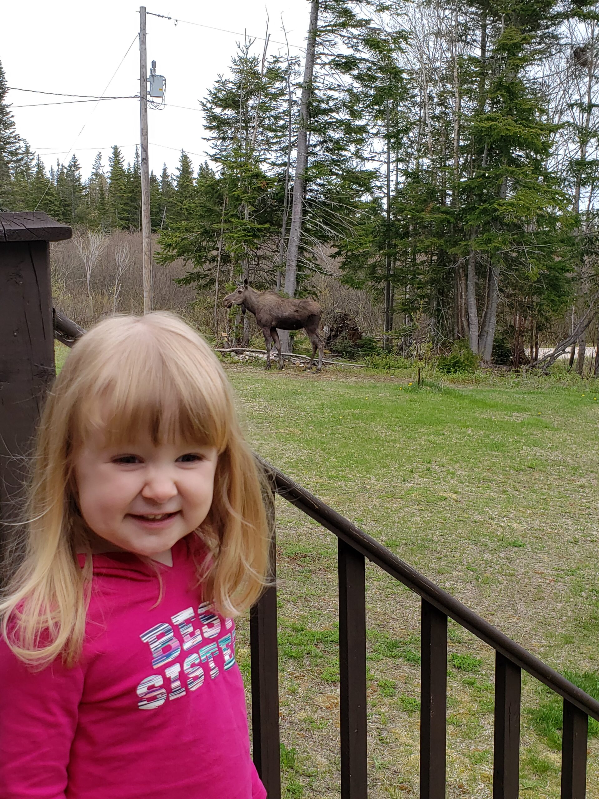 Main Gallery Display