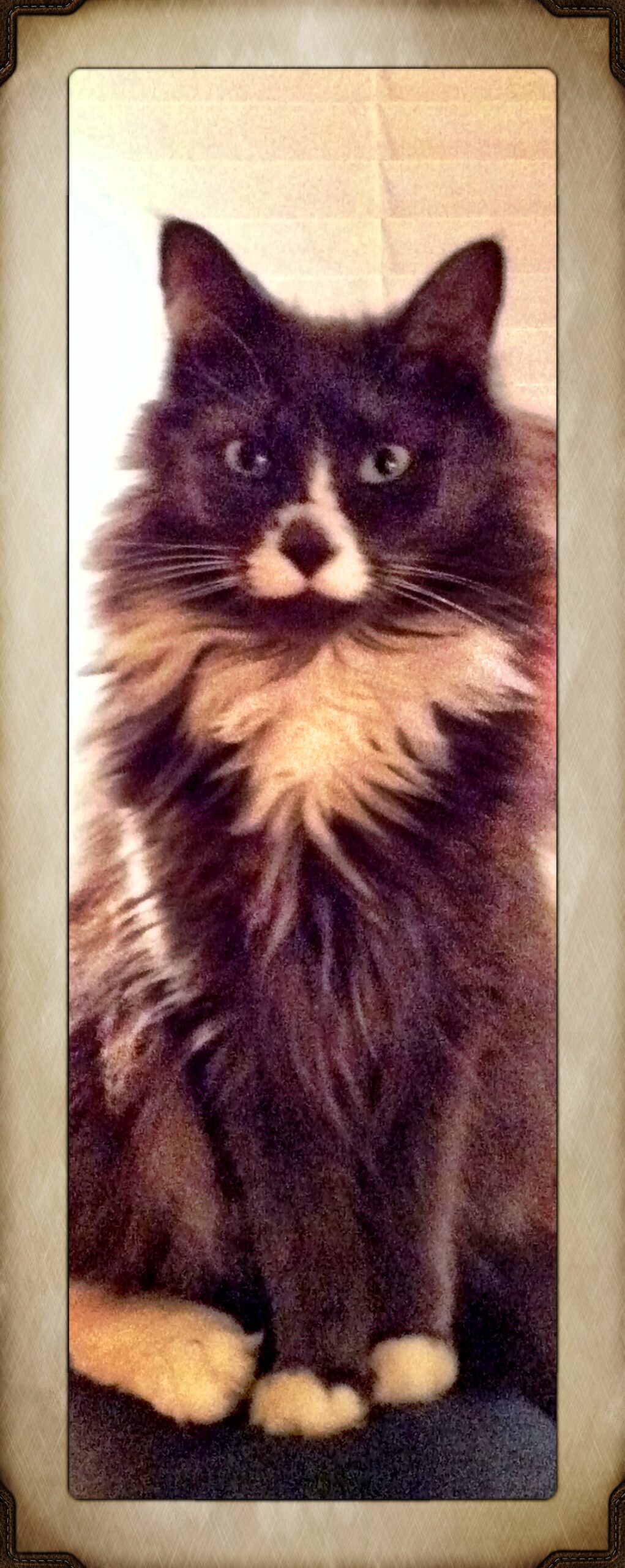 Main Gallery Display