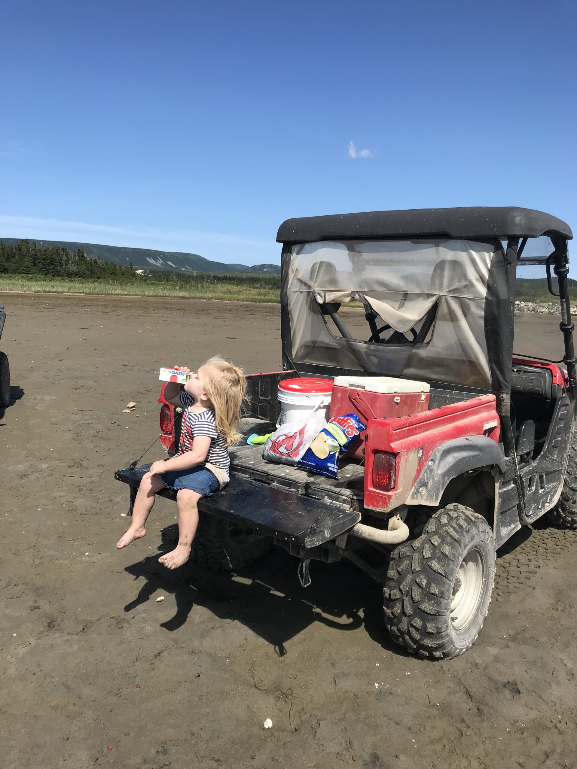 Main Gallery Display