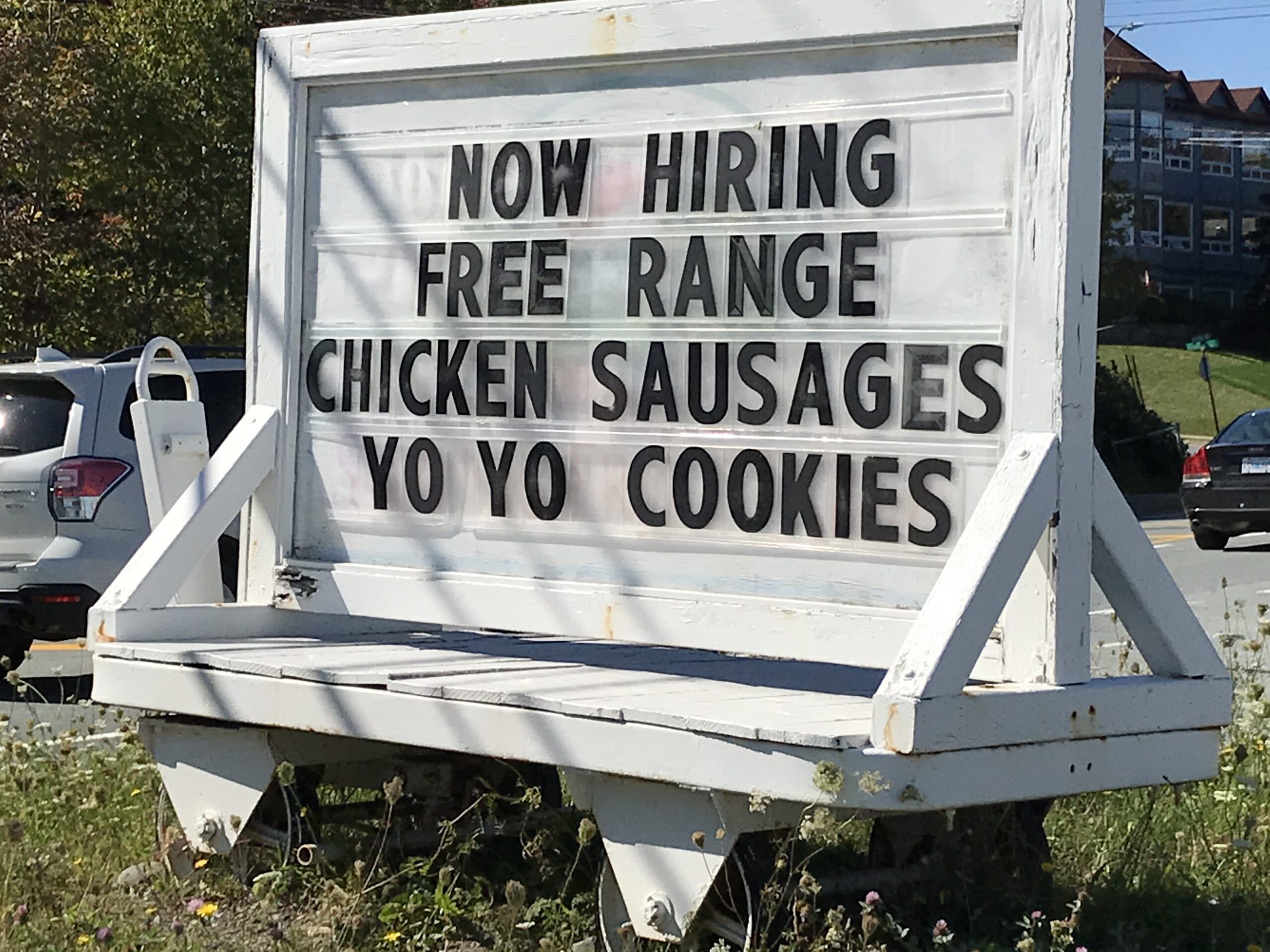 Main Gallery Display