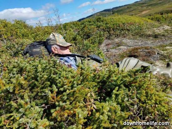 Main Gallery Display